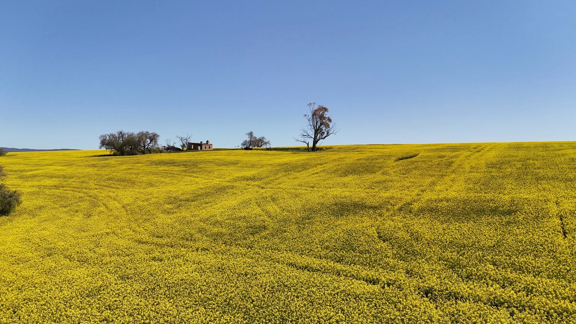 Additional image 10 of 'Ryans' Archie Road, Murray Town SA 5481