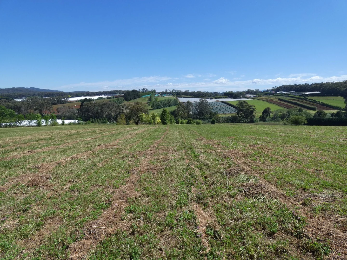 Additional image 2 of Lot 1/95 Macclesfield Road, Monbulk VIC 3793
