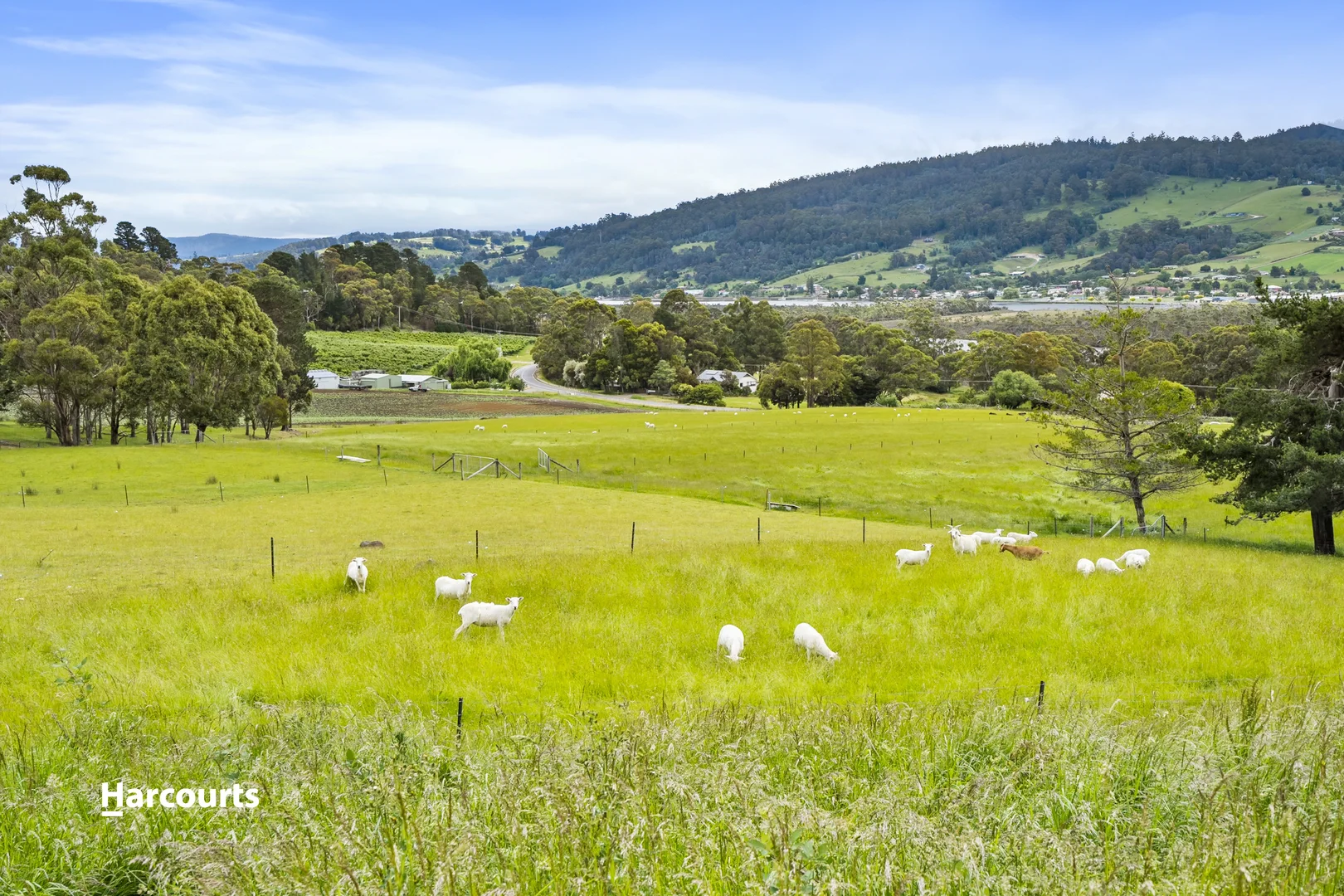 Additional image 15 of 8520 Channel Highway, Woodstock TAS 7109