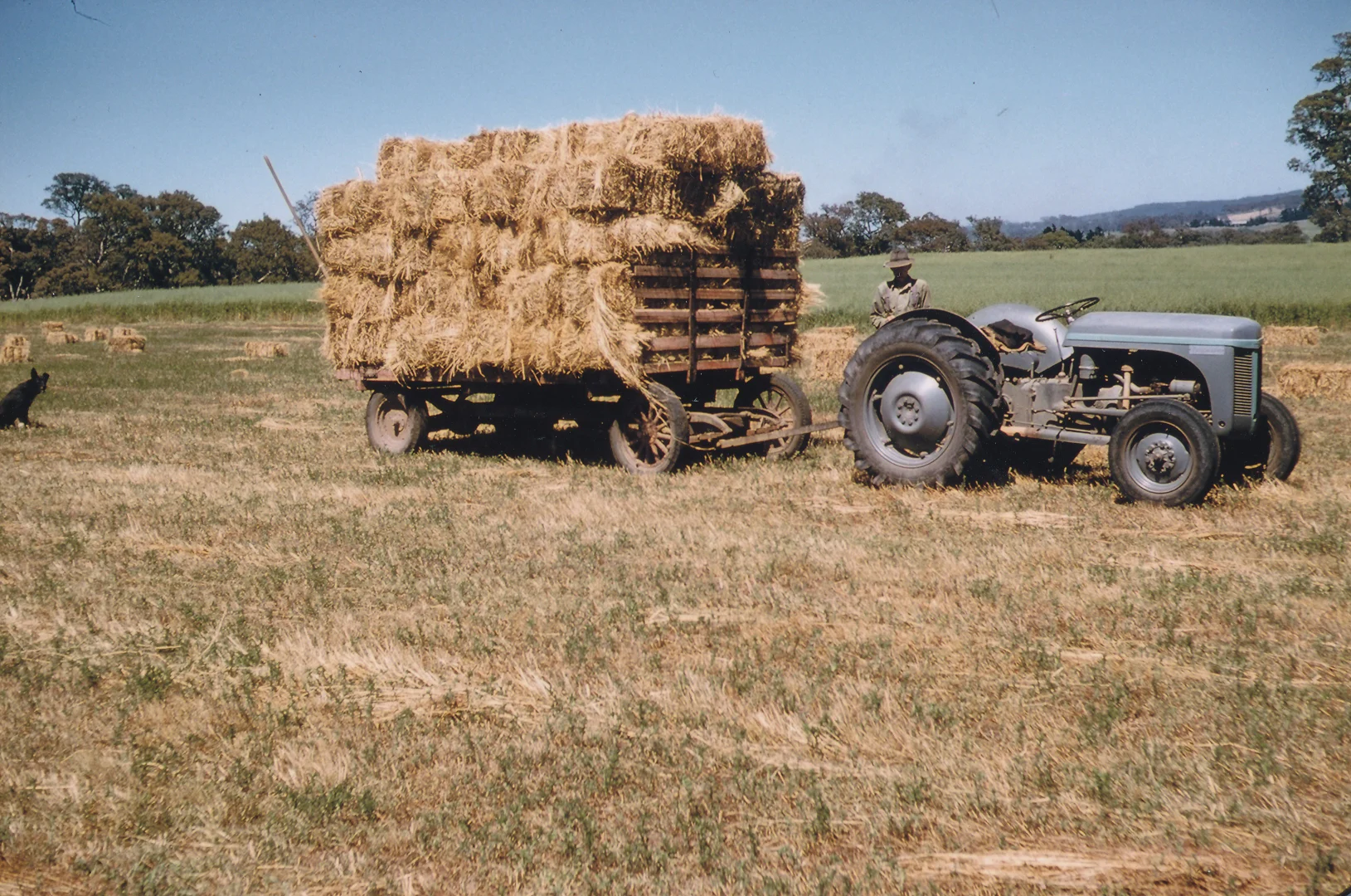 Additional image 19 of Lot 20 & 21 Newman Road, Charleston SA 5244