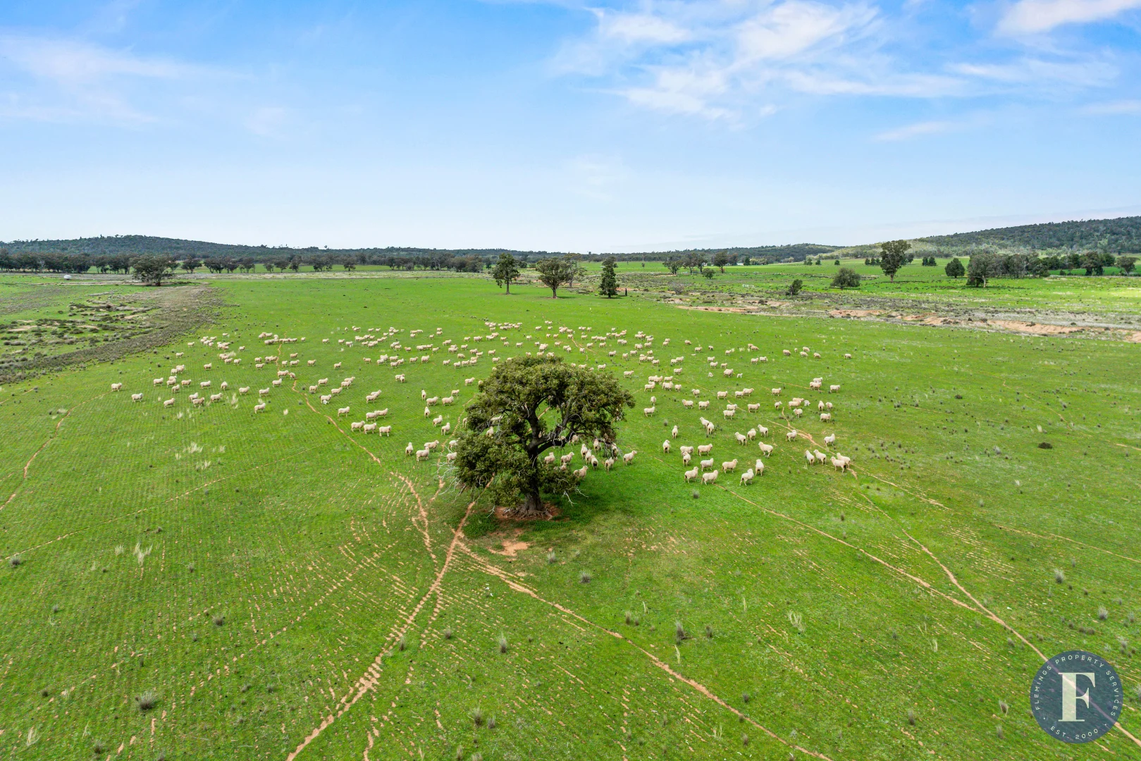 Additional image 2 of 893 Deaths Lane, Pullabooka NSW 2810