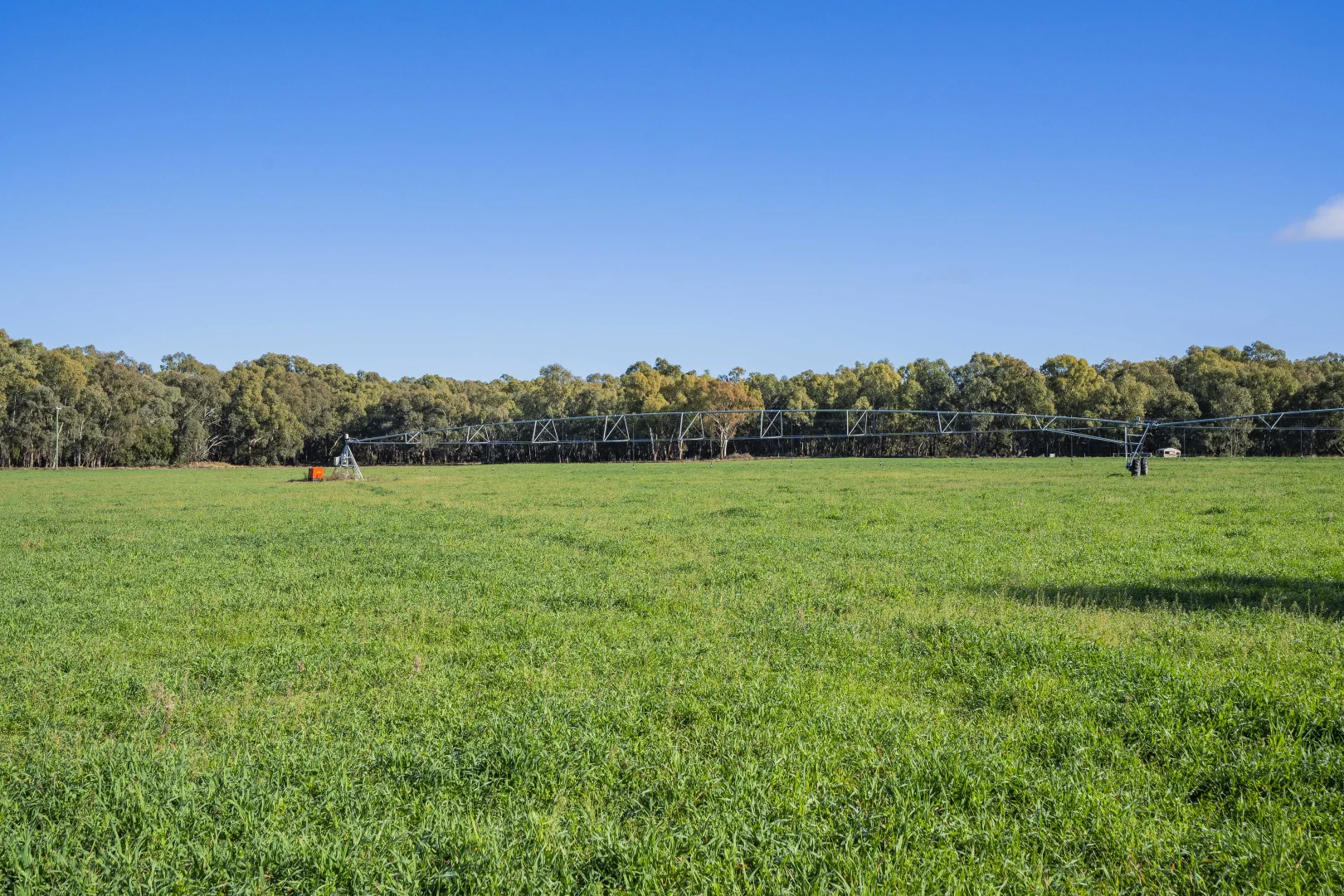 Additional image 4 of 4007 Kiacatoo Road, Condobolin NSW 2877