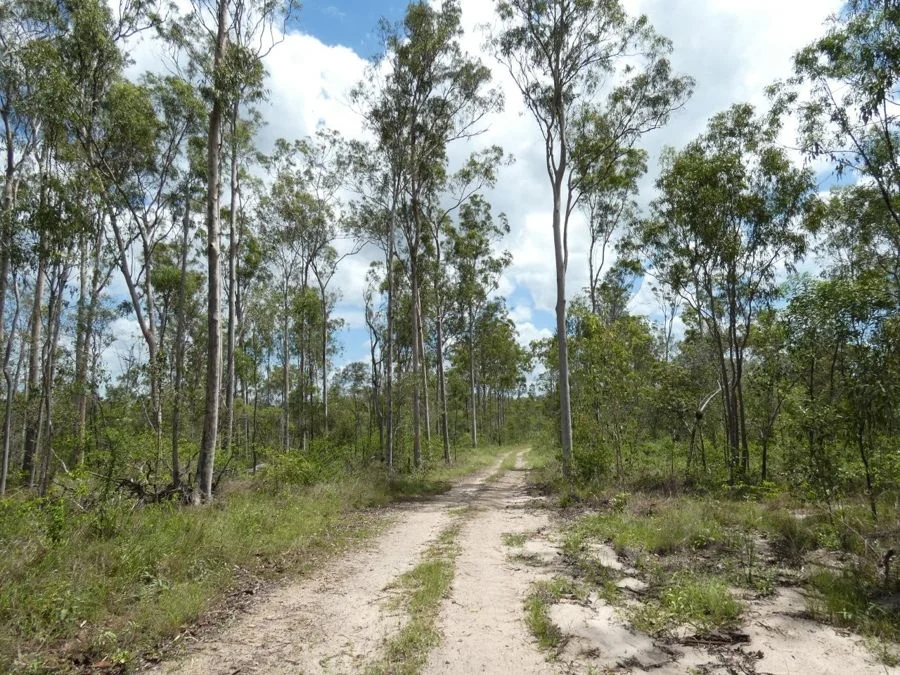 Additional image 34 of Lot 41 Moolyung Road, Waterloo QLD 4673