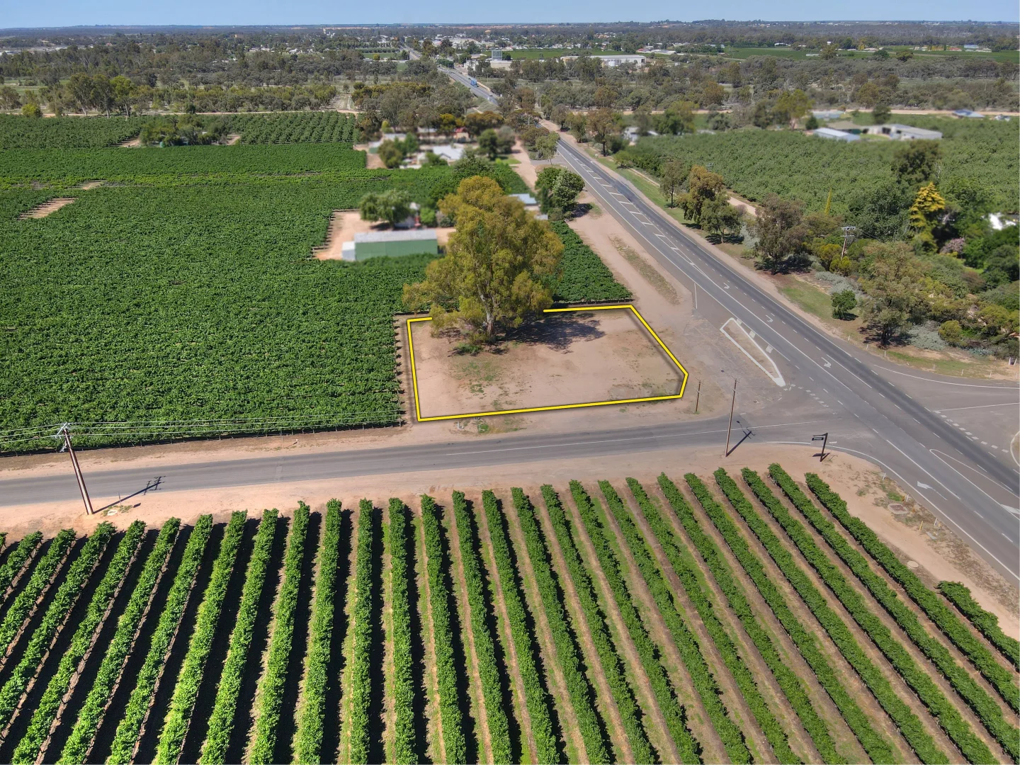 Additional image 5 of 59 Twentyfifth Street, Renmark SA 5341