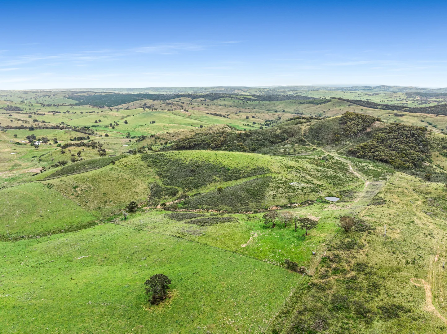 Additional image 18 of 517 White Rocks Road, Lewis Ponds NSW 2800