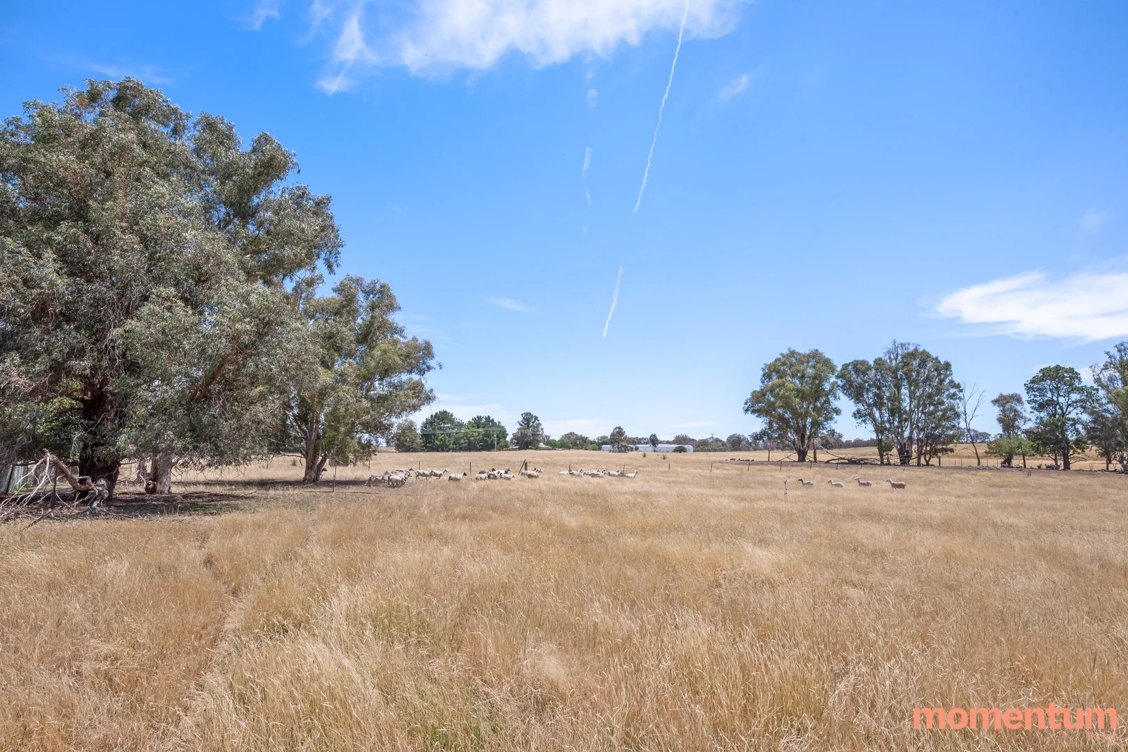 Additional image 48 of 5 Euroka Avenue, Murrumbateman NSW 2582