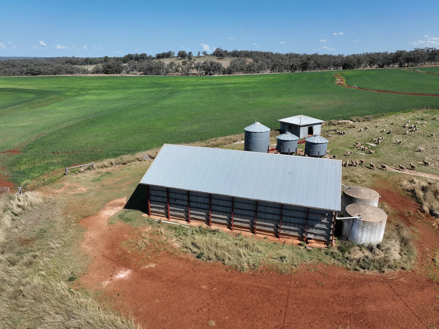 Additional image 15 of 4436 Yetman Road, Graman NSW 2360