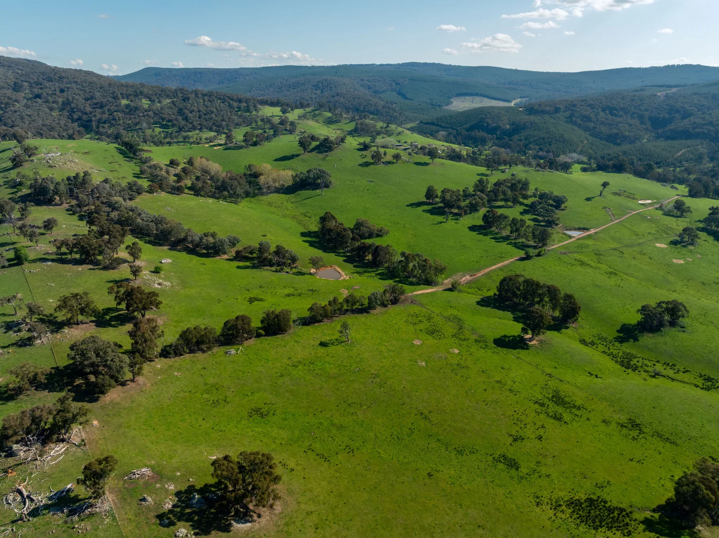 Additional image 30 of 315 Davies Road, Warrenbayne VIC 3670