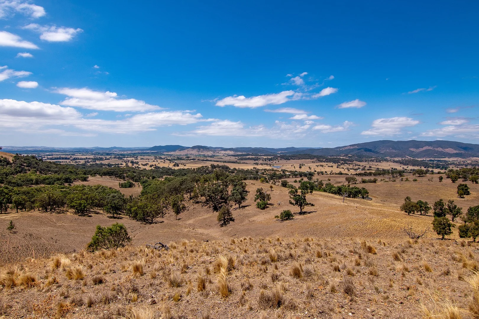 856 Spring Flat Road, Spring Flat NSW 2850