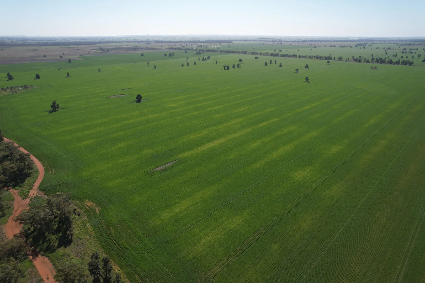 Additional image 5 of 762 Cornells Road, Condobolin NSW 2877