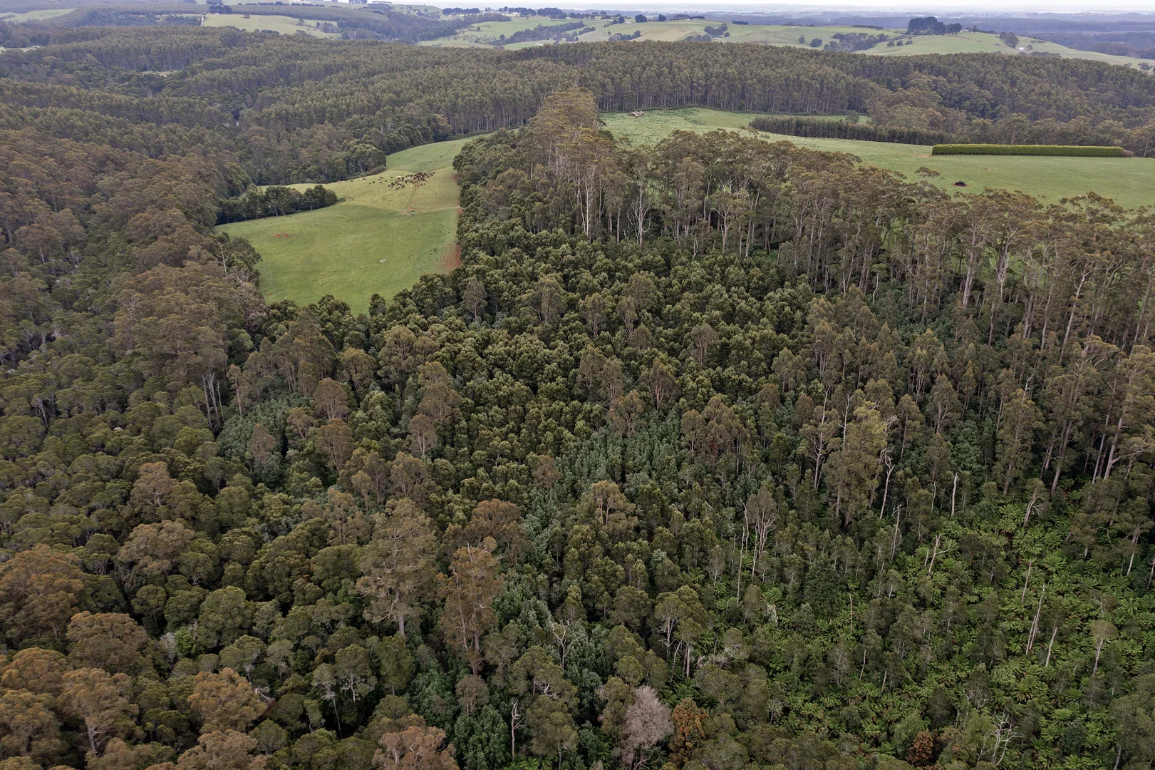 Additional image 18 of 206 Twin Creeks Road, Mengha TAS 7330