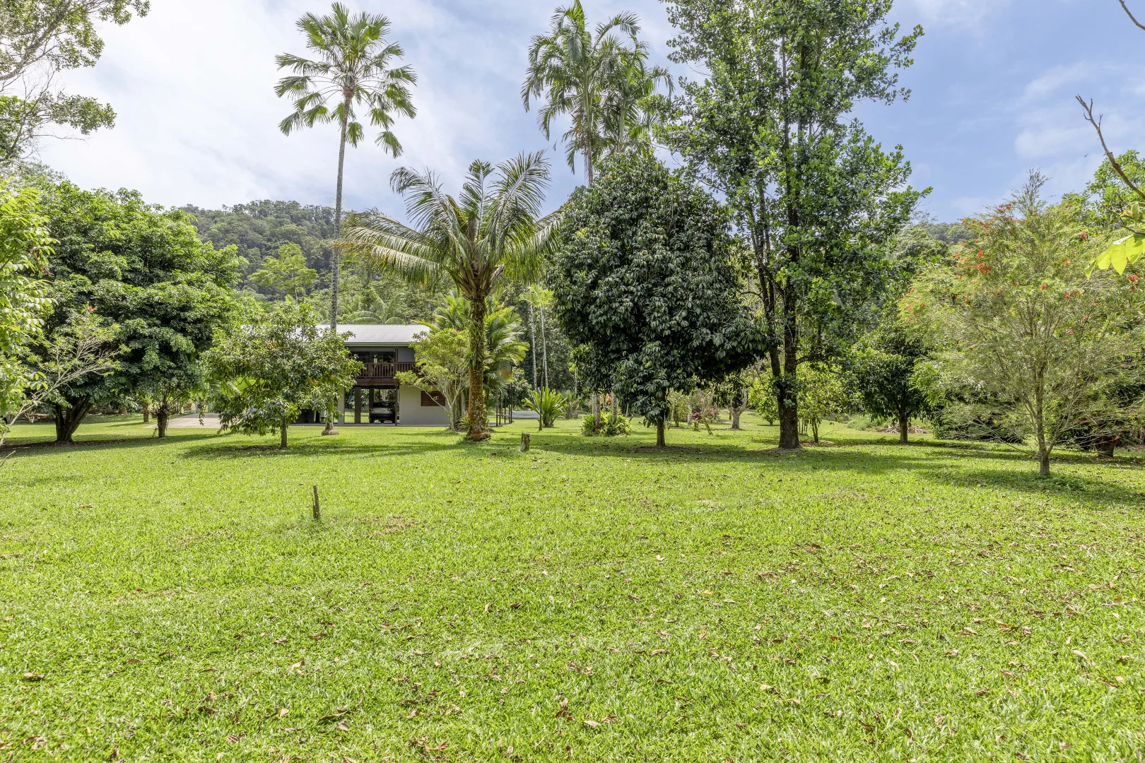 Additional image 25 of 516 Whyanbeel Road, Whyanbeel, Mossman QLD 4873