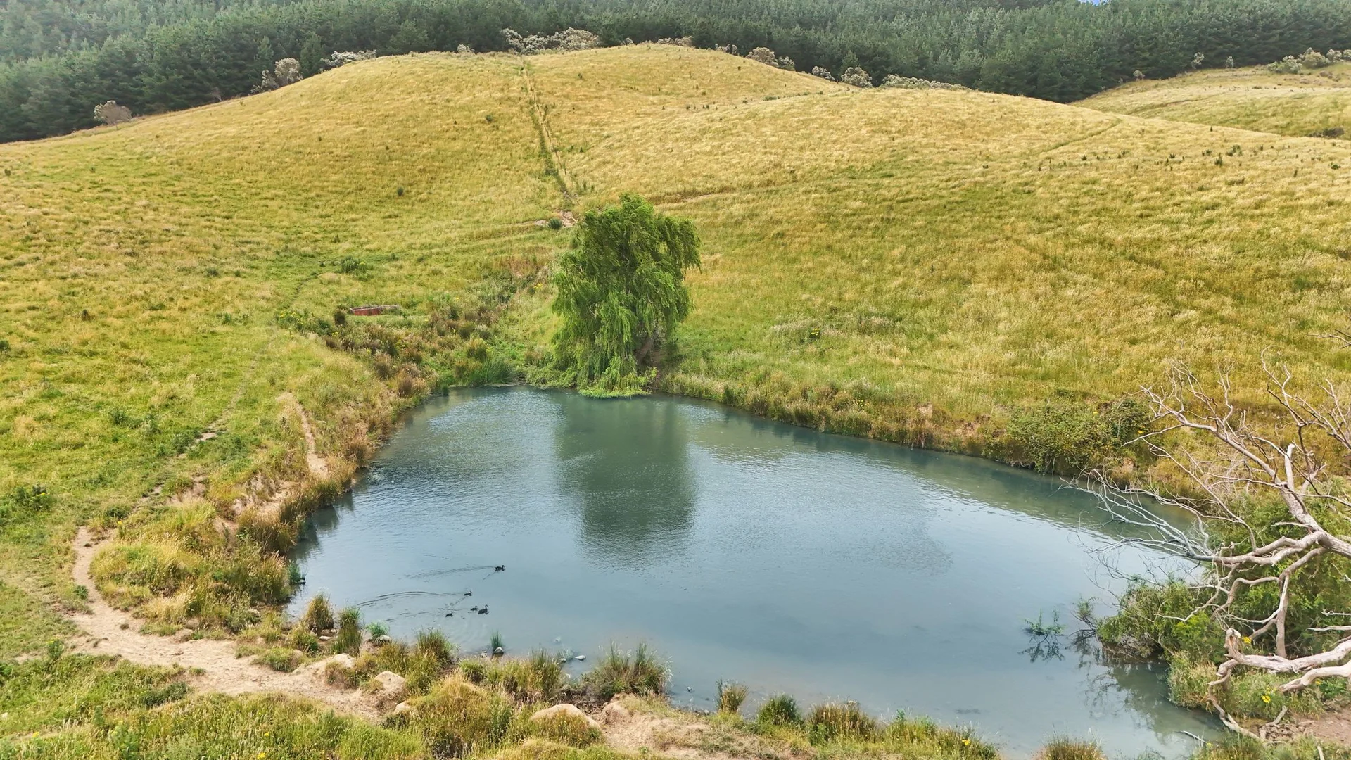 Additional image 12 of 160 Hollins Road, Trida VIC 3953