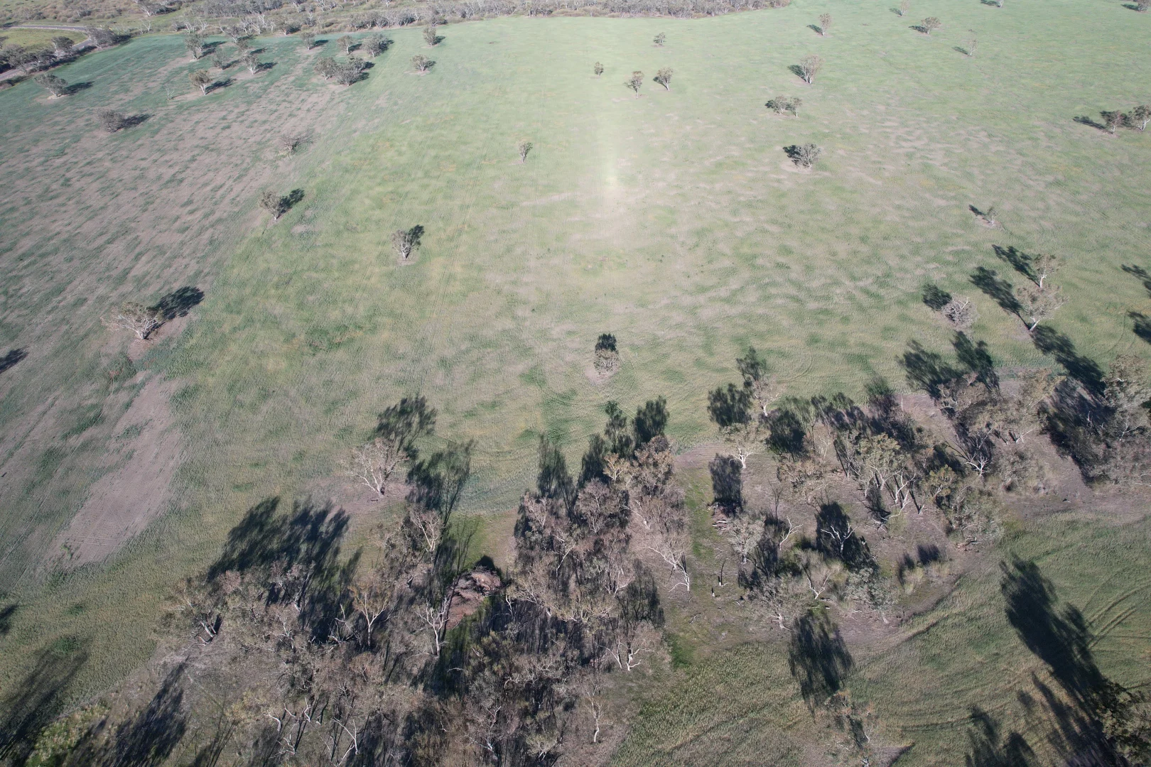 Additional image 2 of 1404 Lake Cowal, Forbes NSW 2871