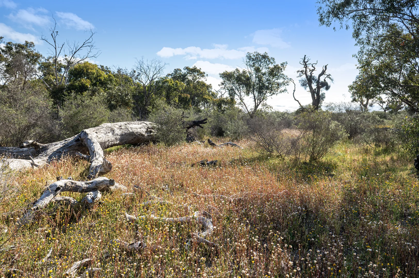 Additional image 21 of 3691 Duffy Road, Bambun WA 6503