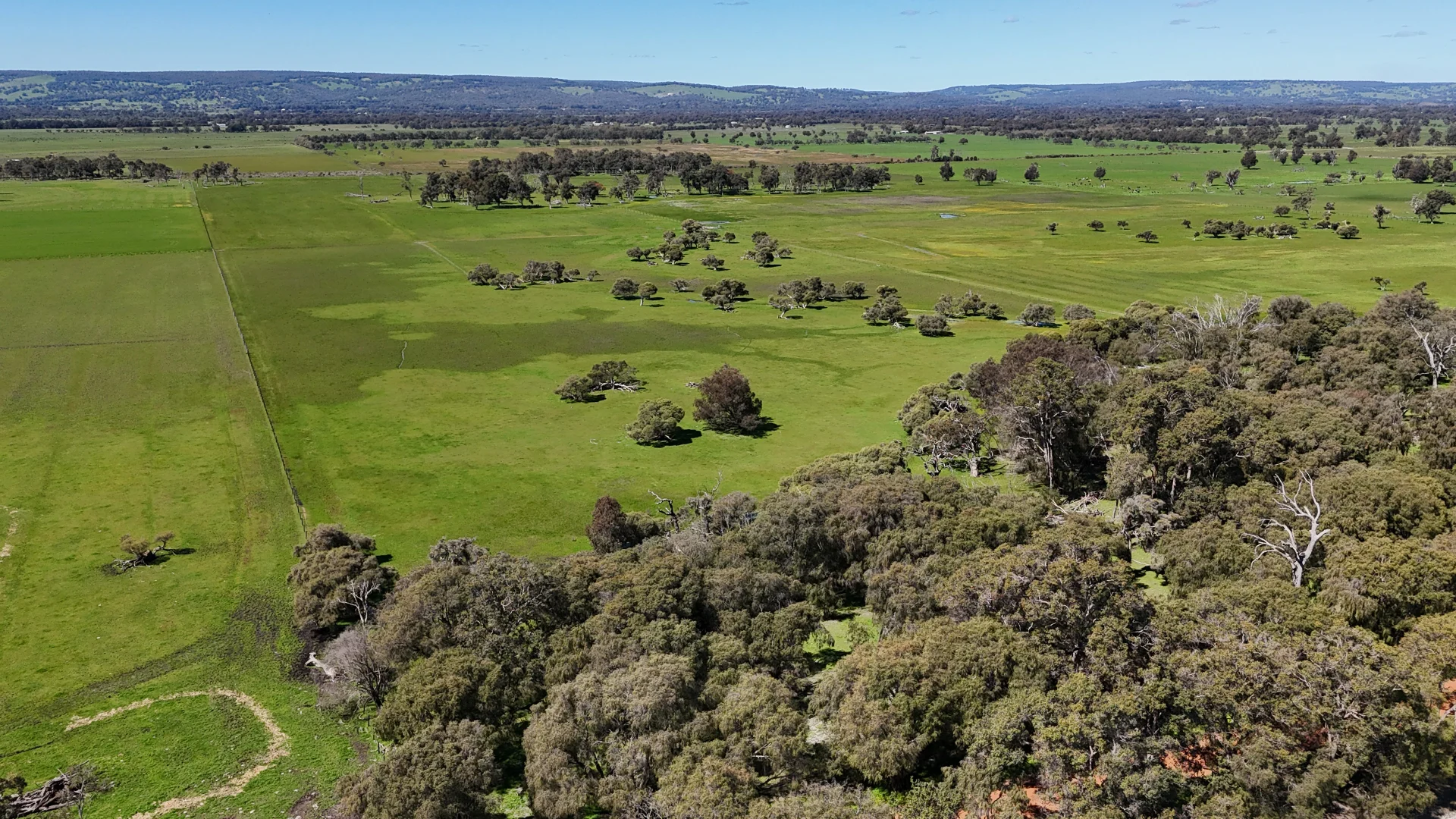 Additional image 10 of 39 Gibbs Road, Uduc WA 6220