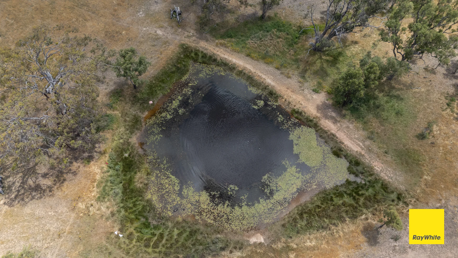 Additional image 6 of 132 Woodbury Drive, Sutton NSW 2620