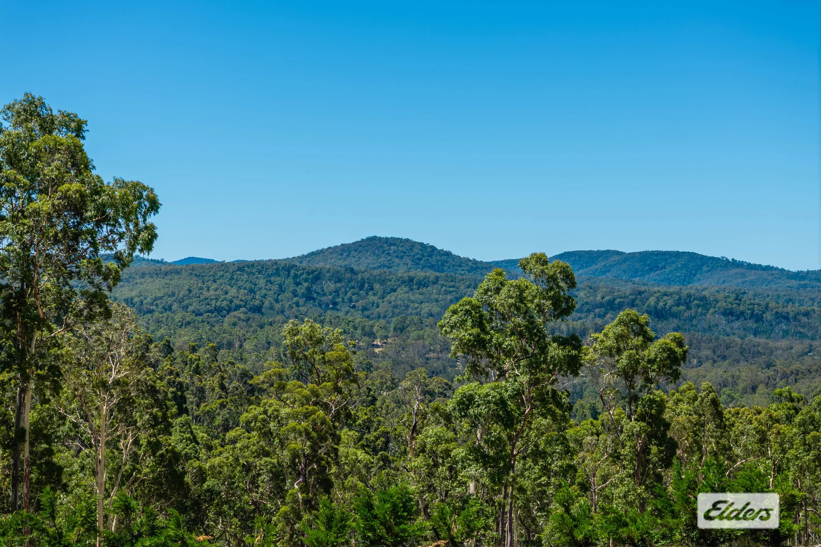 Additional image 19 of 232 Paradise Road, Nelligen NSW 2536