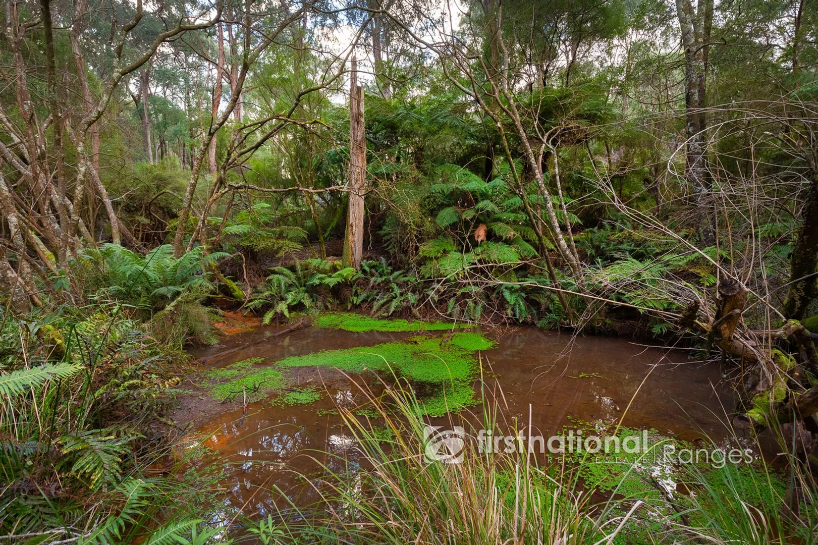 Additional image 12 of 31 Coulson Road, Monbulk VIC 3793