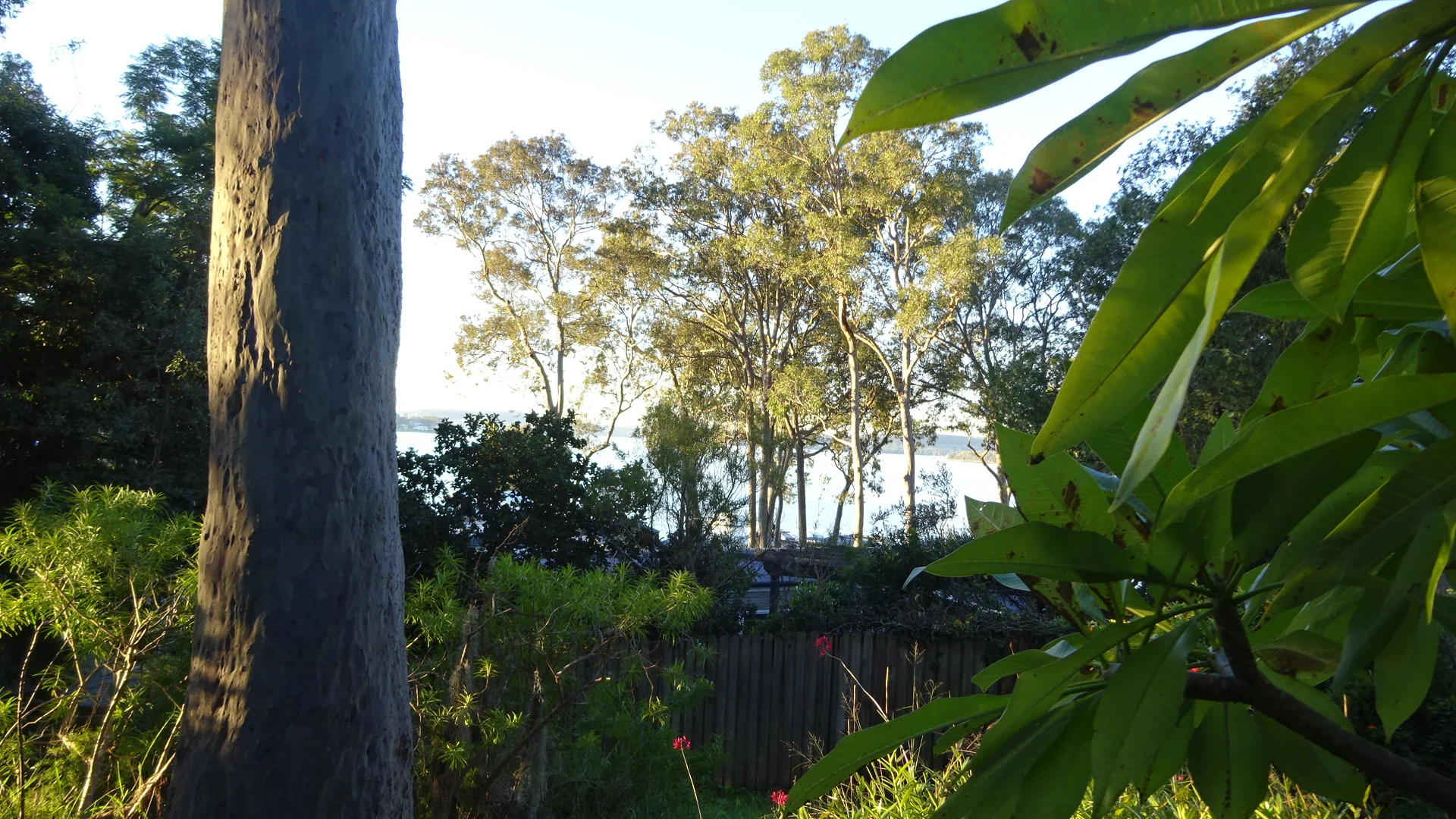 Additional image 4 of 7 Amelia Street, Carey Bay NSW 2283