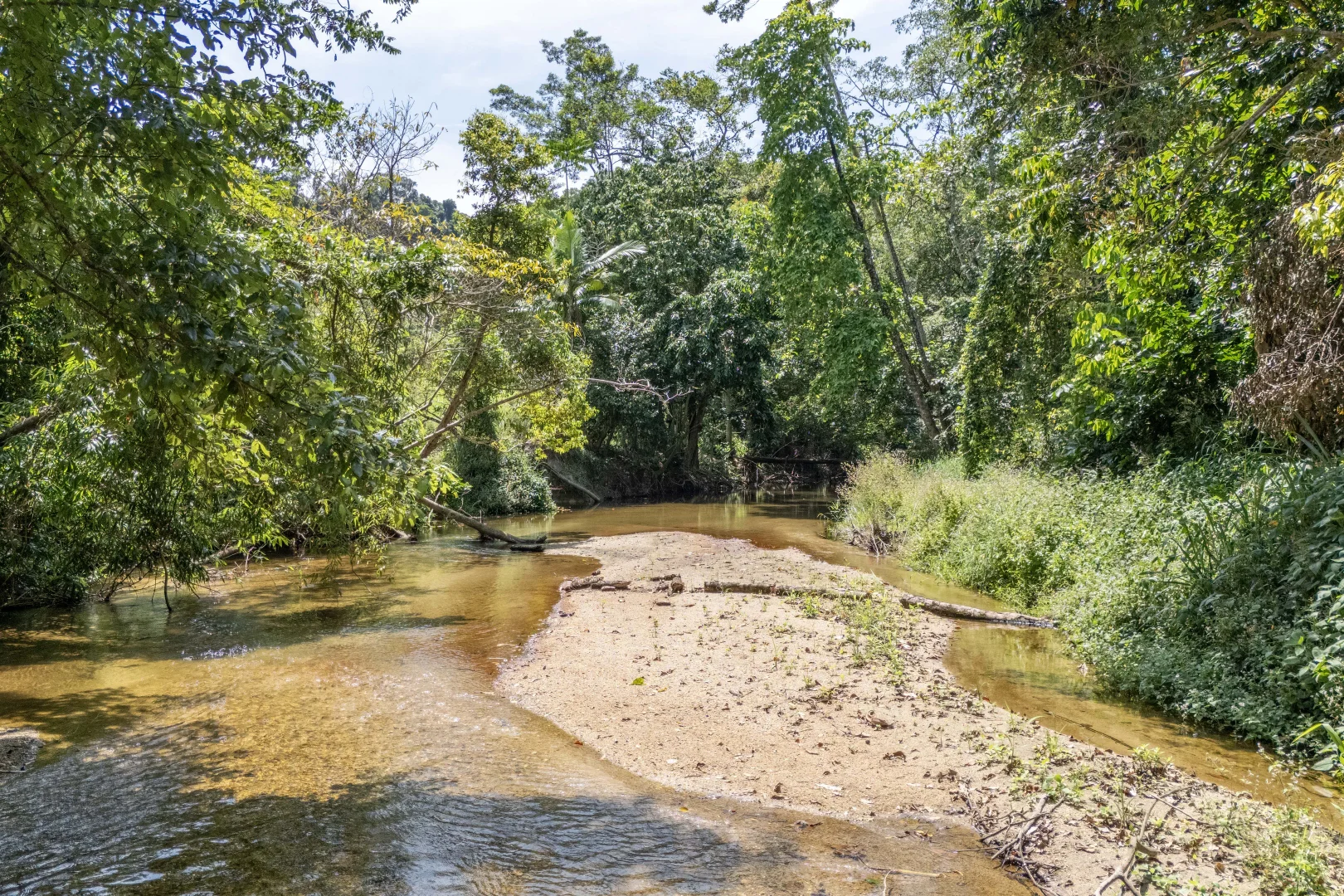 Additional image 4 of 516 Whyanbeel Road, Whyanbeel, Mossman QLD 4873