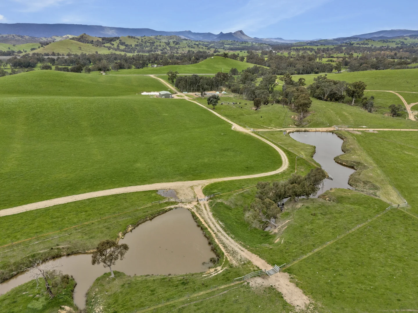 Additional image 19 of 146 Hobans Road, Alexandra VIC 3714