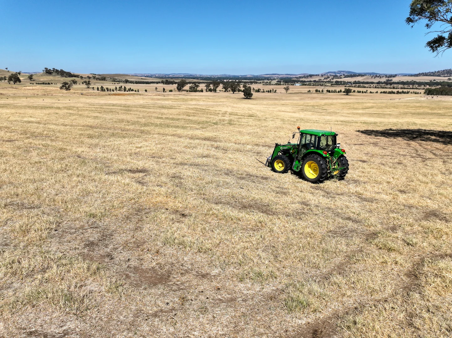 Additional image 12 of 'Yeronga' Piersons Road, Mangoplah NSW 2652