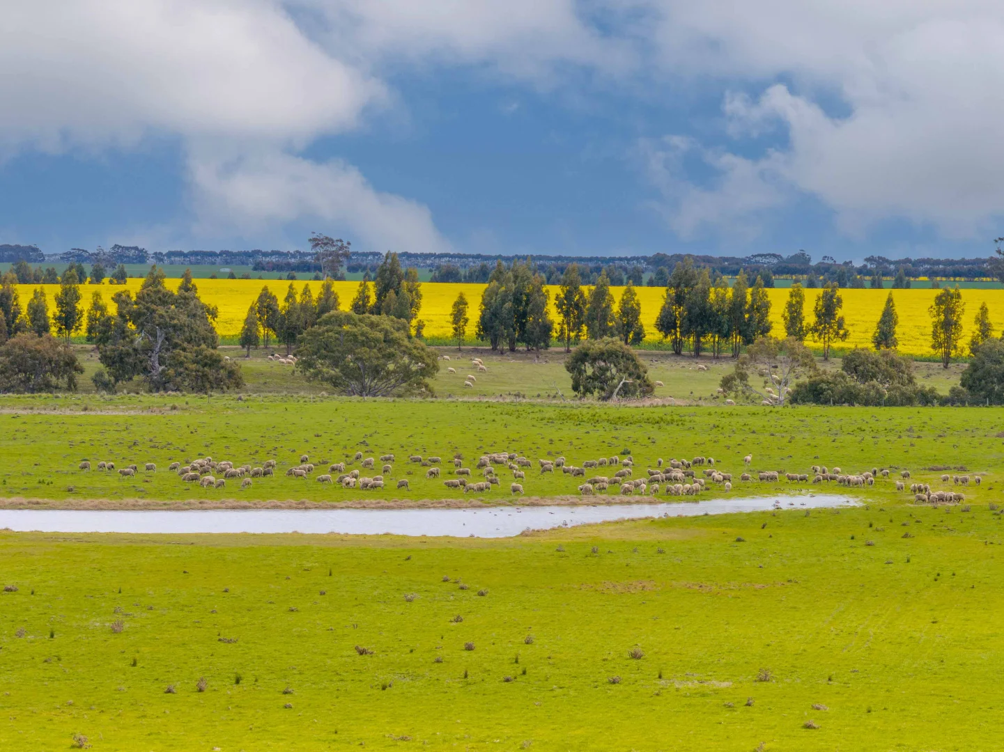 Additional image 3 of 400 Daly Road, Skipton VIC 3361