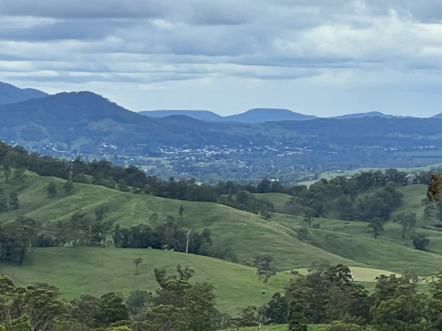 Additional image 6 of 59 Wyndham Road, Wyneden NSW 2474