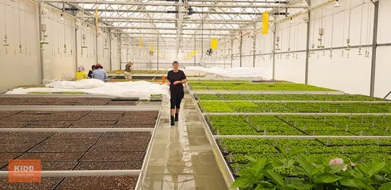 Additional image 13 of Peats Ridge NSW 2250