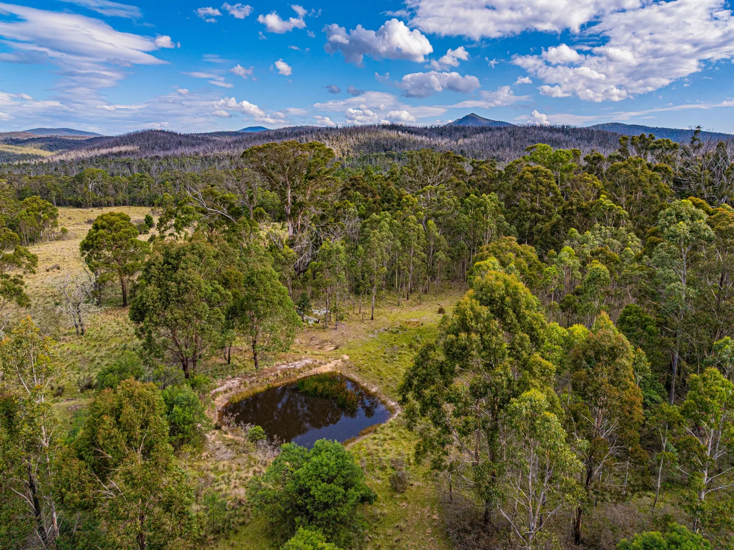 Additional image 16 of 153 Murumba Rd,, Bombay NSW 2622