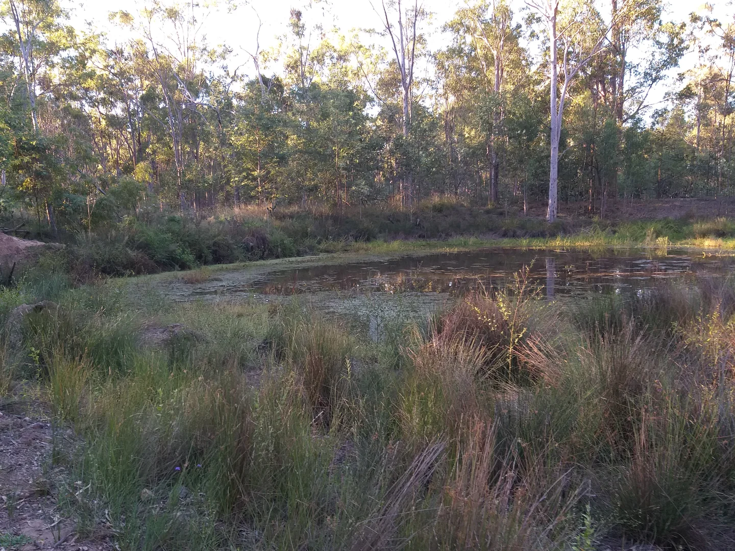 Additional image 2 of Lot 86 Tralee Road, Pratten QLD 4370