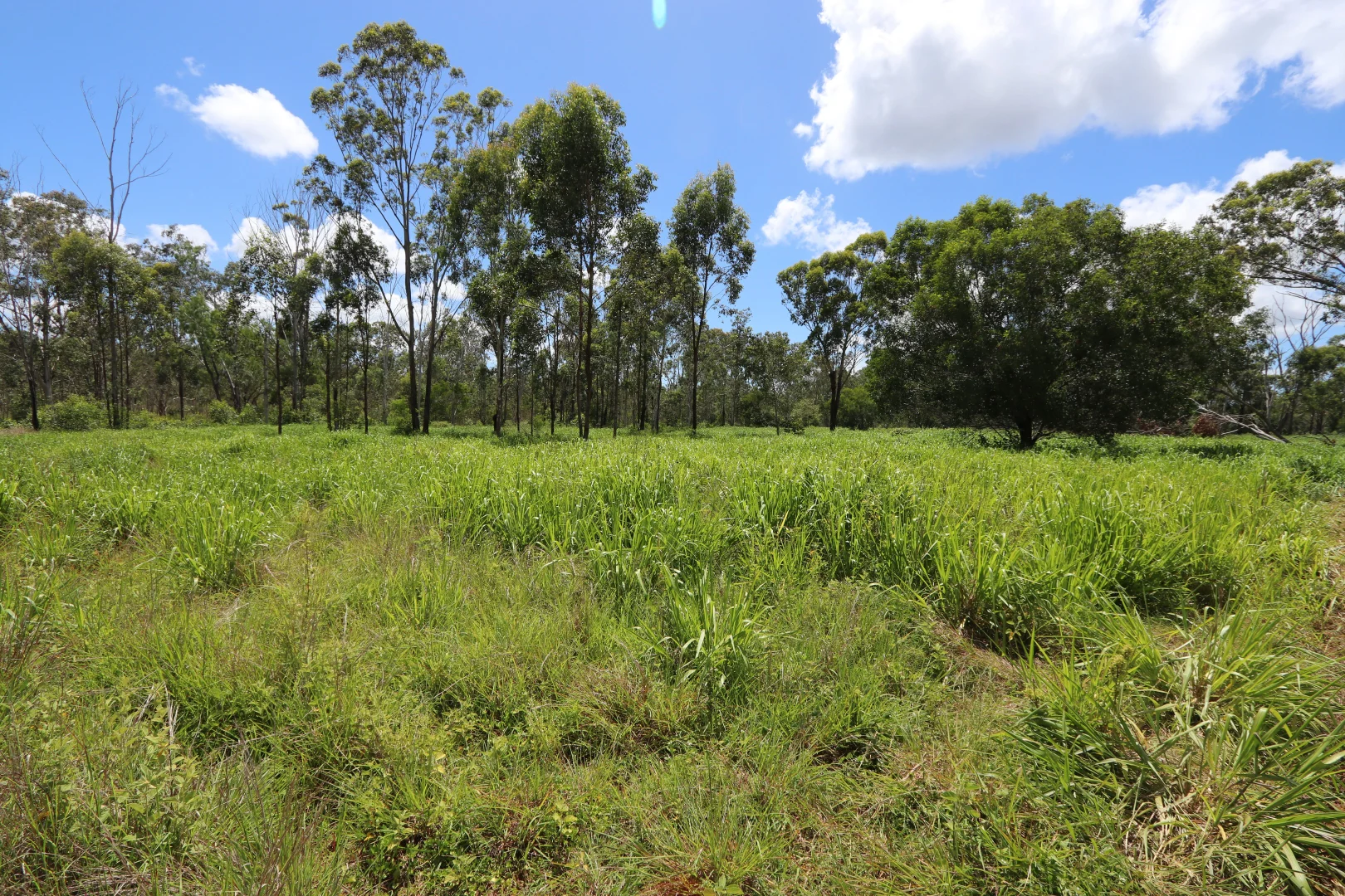Additional image 4 of 330 Doonside Road, Jardine QLD 4702