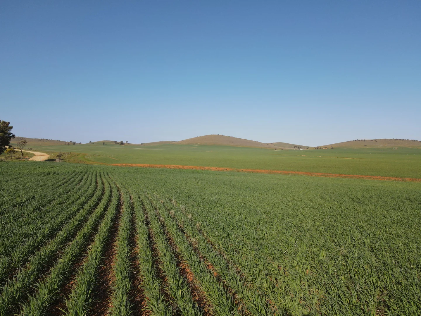 Additional image 2 of 274E Melrose Road, Pekina SA 5431