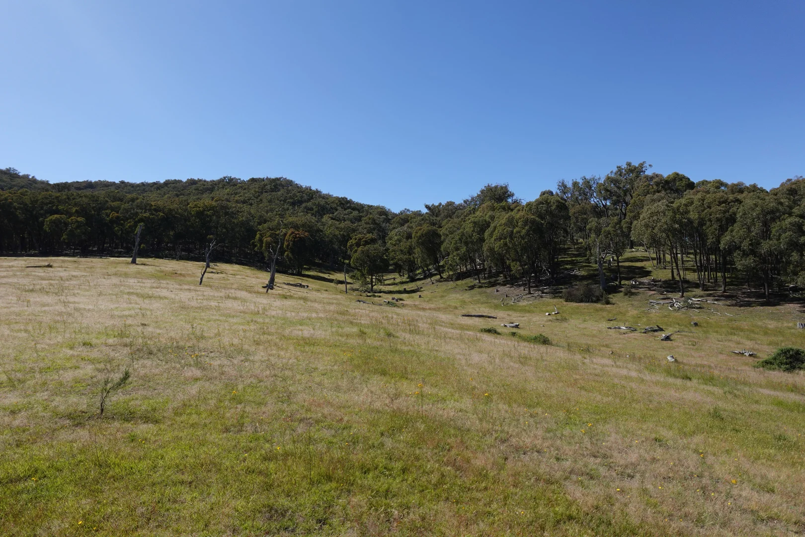 Additional image 20 of 2985 Midland Highway, Lima South VIC 3673