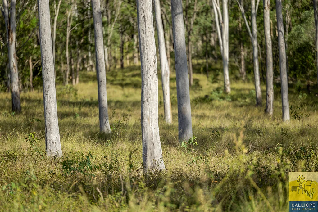 Additional image 18 of 400 Wildman Road, Iveragh QLD 4680