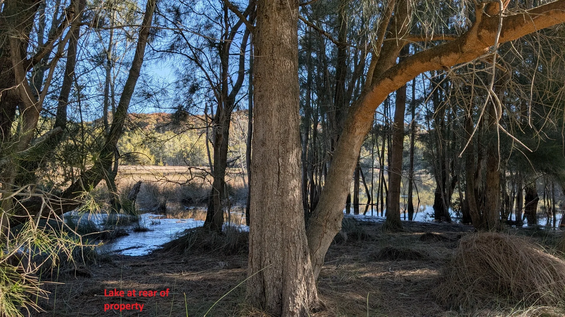 Additional image 9 of 15 Borang Street, Potato Point NSW 2545