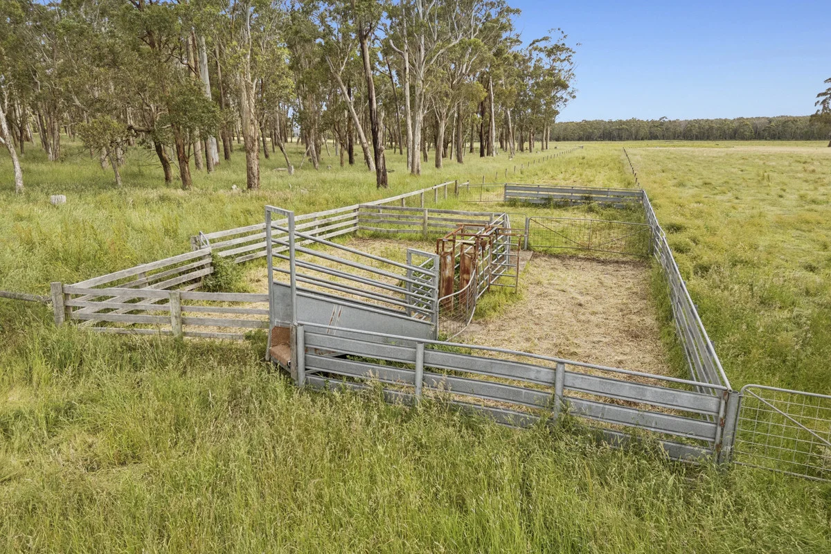 Additional image 4 of 190 Blacks Road, Irrewillipe VIC 3249