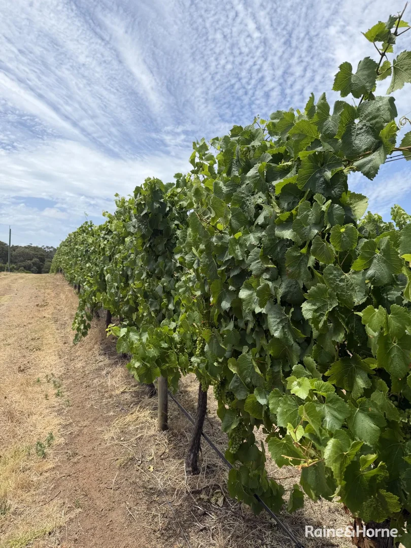 Additional image 41 of 45821 South Coast Highway, Kalgan WA 6330