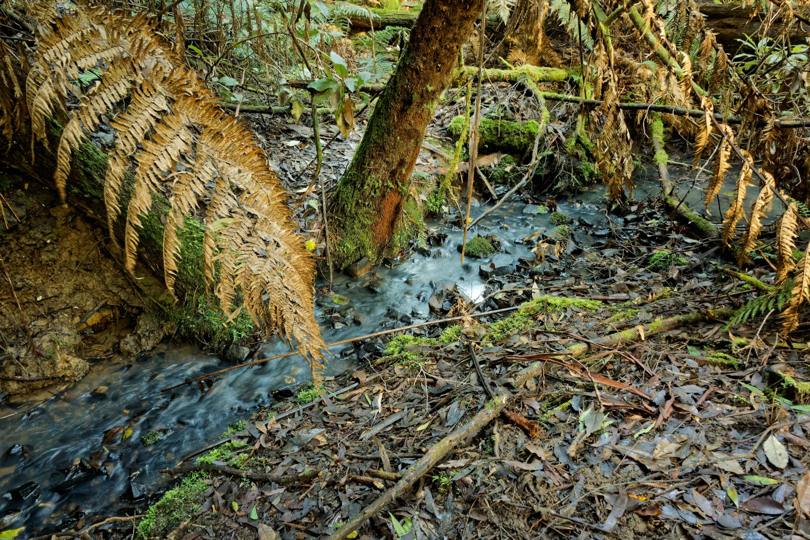 Additional image 8 of Lot 1, 660 Larcombes Road, Reedy Marsh TAS 7304