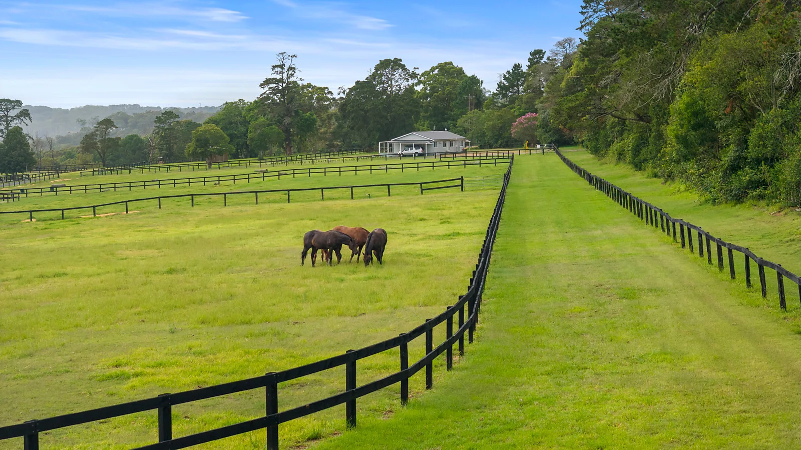 Additional image 6 of 176 Greta Road, Kulnura NSW 2250