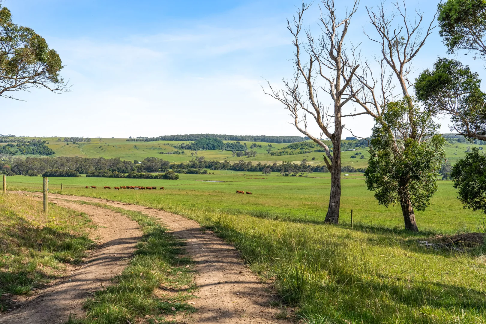 Additional image 12 of 876 Cobden Port Campbell Road, Scotts Creek VIC 3267