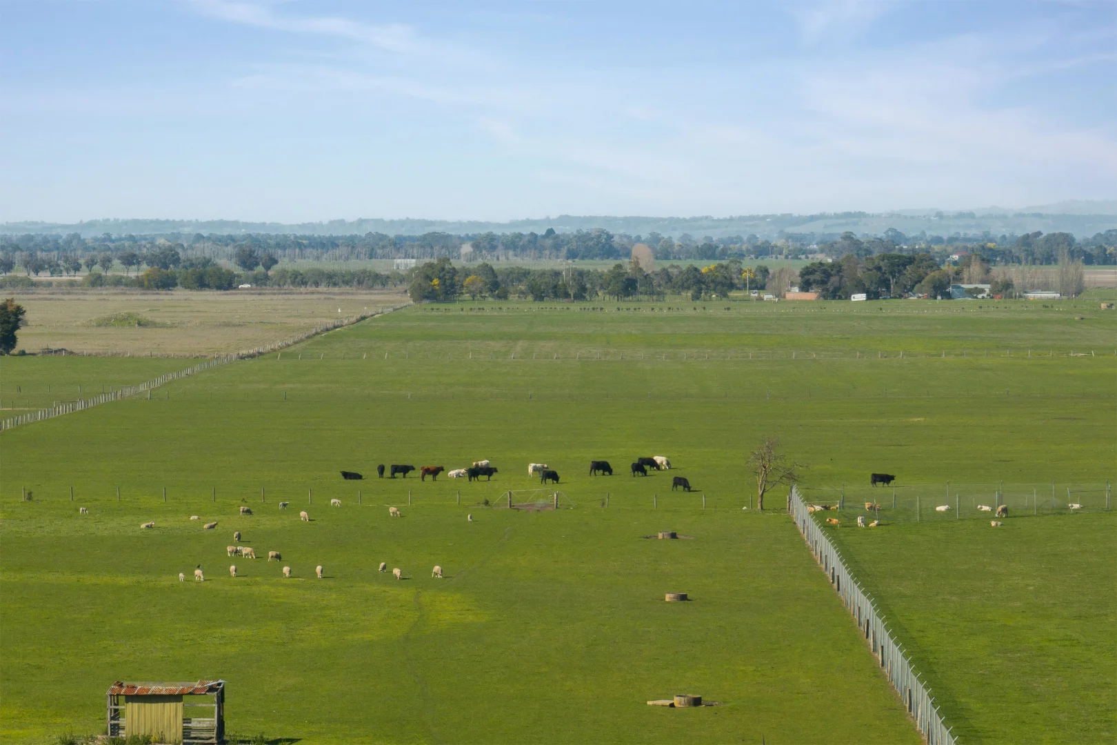 Additional image 6 of 220 Five Mile Road, Koo Wee Rup VIC 3981