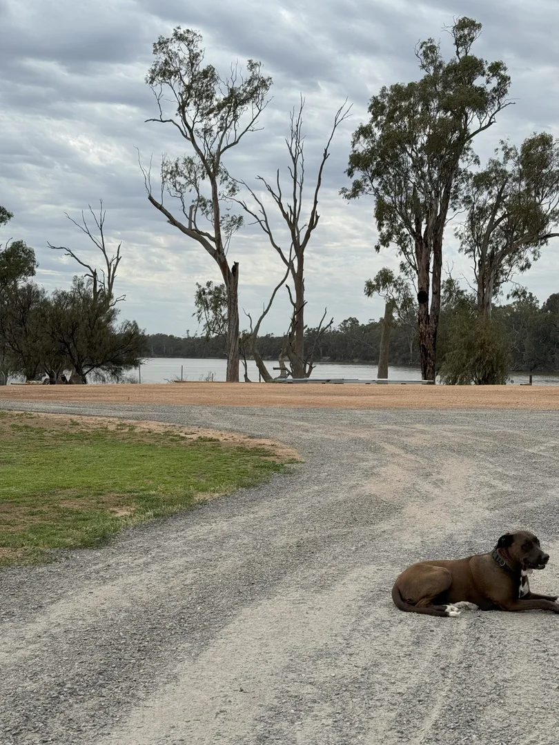 Additional image 7 of 11 Bates Drive, Euston NSW 2737