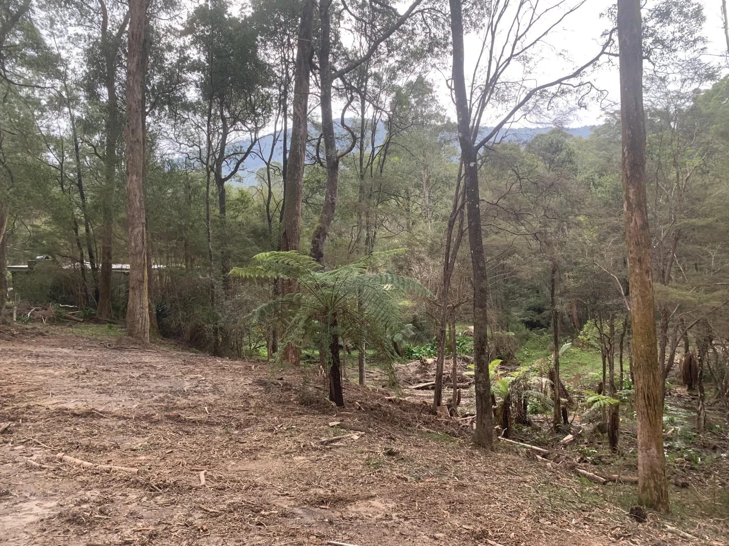 Additional image 8 of 23 Wombat Crescent, East Warburton VIC 3799