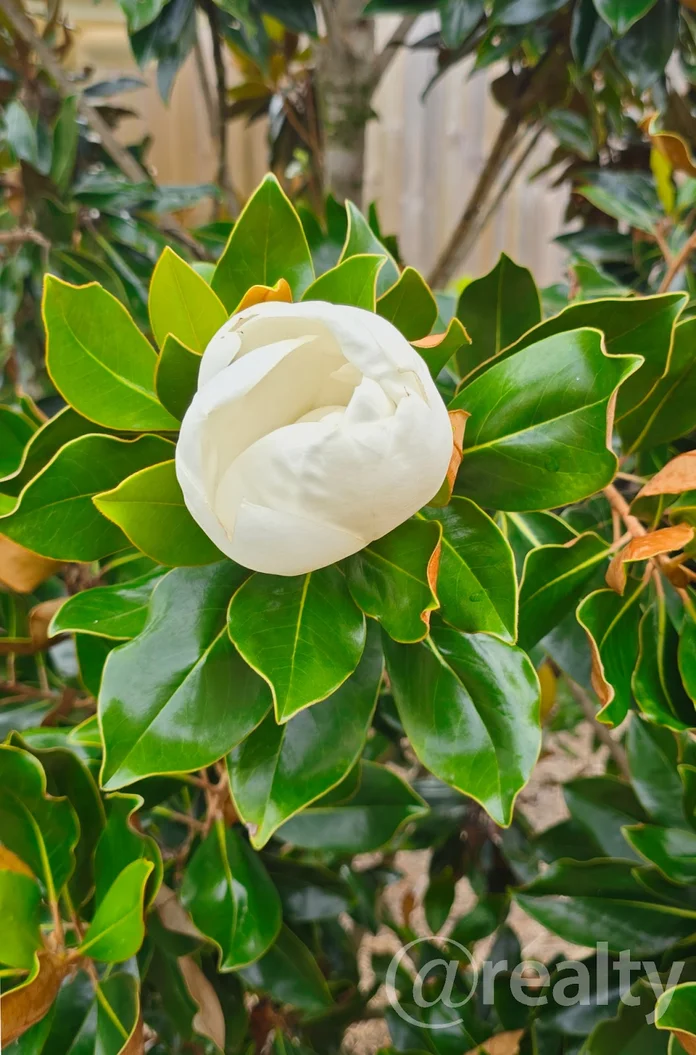 Additional image 11 of 138/23 Macadamia Drive, Maleny QLD 4552