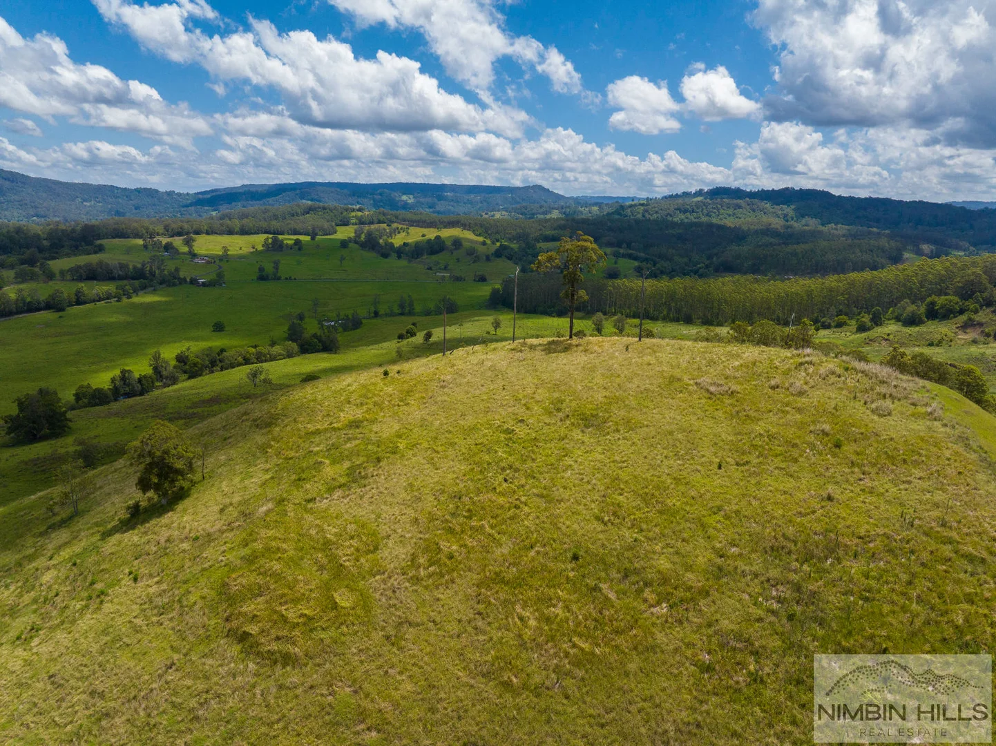 Additional image 18 of 19 Moffitt Road, Nimbin NSW 2480