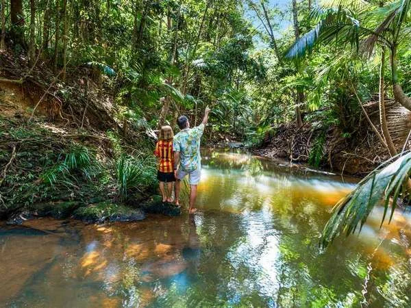Additional image 7 of 1-11 Discovery Drive, Kuranda QLD 4881