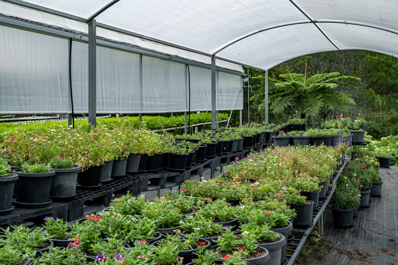 Additional image 35 of 44 Glen Nathan Court, Mount Nathan QLD 4211