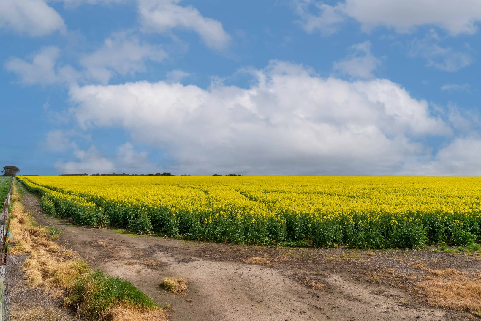 Additional image 4 of 400 Daly Road, Skipton VIC 3361